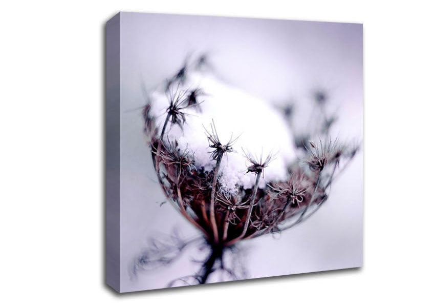 Single Winter Flower Canvas Wall Art