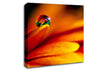 Fire Petal Reflection Canvas Wall Art