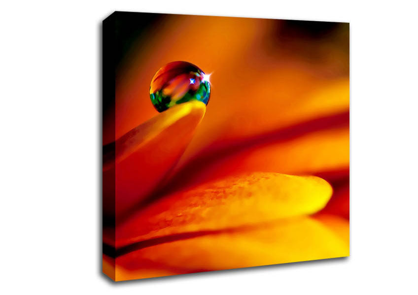Fire Petal Reflection Canvas Wall Art