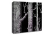 Tree Bark Canvas Wall Art