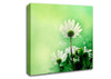 Green Flower Parade Canvas Wall Art