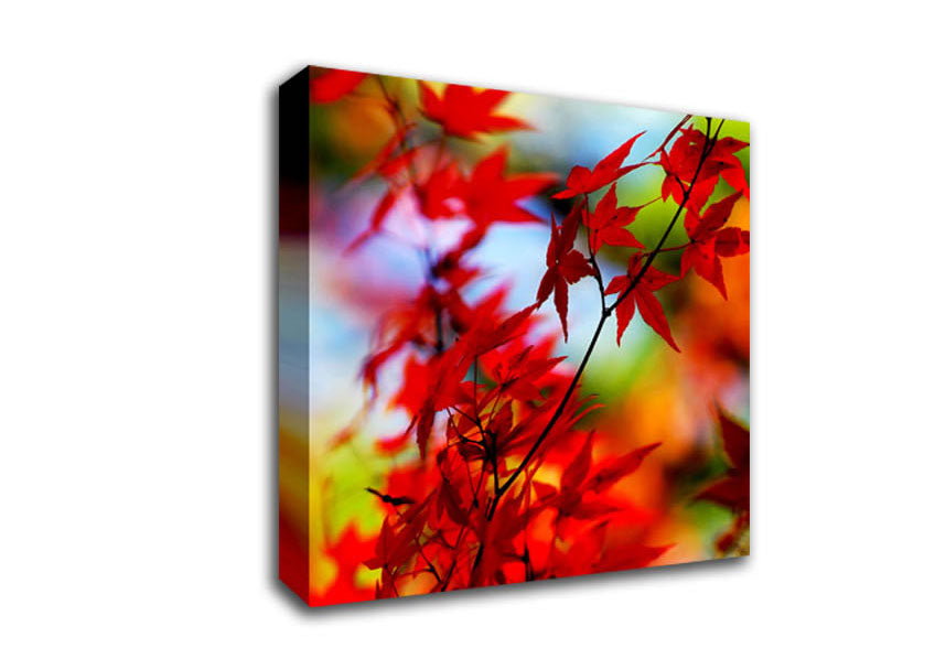 Red Autumn Leaves Canvas Wall Art