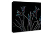 Abstarct Neon Floral 31 Canvas Wall Art