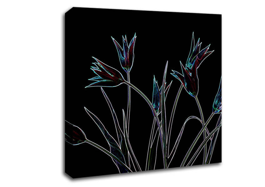 Abstarct Neon Floral 31 Canvas Wall Art