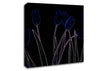 Abstarct Neon Floral 23 Canvas Wall Art