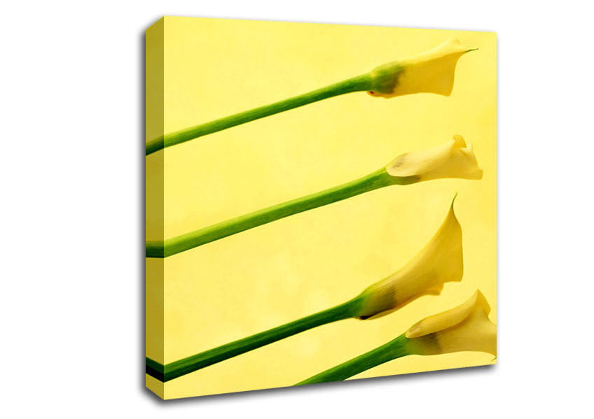 Yellow Trumpet Flowers Canvas Wall Art