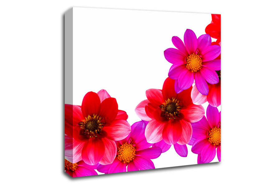 Pink And Red Flower Heads Canvas Wall Art