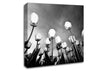 Black And White Tulip Skys Canvas Wall Art