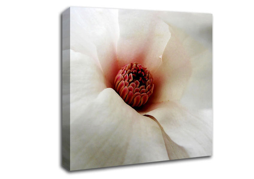 Soft Pink Centre Canvas Wall Art