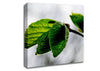 The Winter Leaves Canvas Wall Art