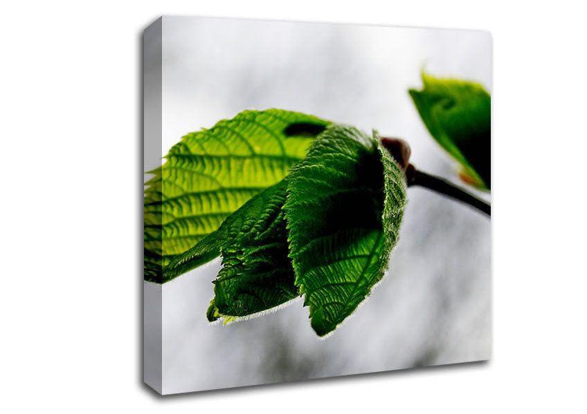 The Winter Leaves Canvas Wall Art