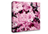 Pink Ocean Spray Canvas Wall Art