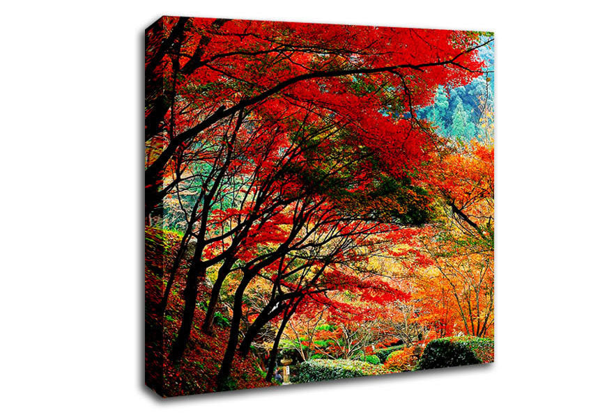 Autumn Tree Delight Canvas Wall Art