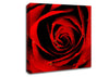 Close-Up Of A Red Rose Canvas Wall Art