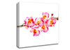 Orchid Stem Beauty Canvas Wall Art