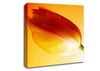 Yellow On Yellow Tulip Canvas Wall Art