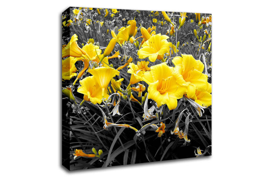 Yellow Trumpet Flowers On B n W Canvas Wall Art