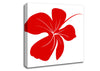 Red Bloom Canvas Wall Art