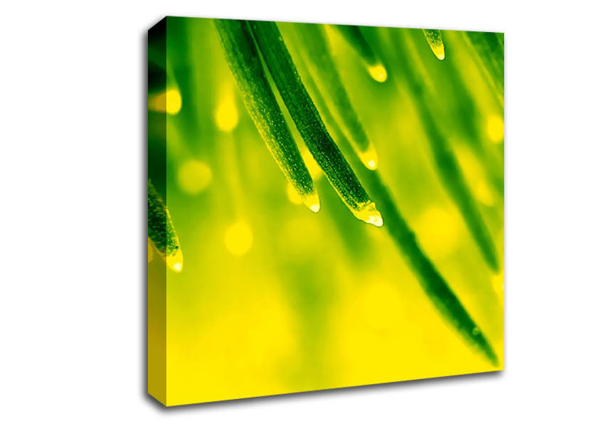 Energy Of A Plant Canvas Wall Art