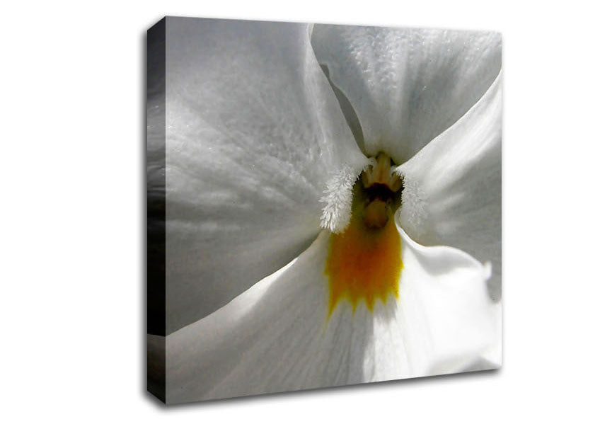 Just A Hint Of Yellow Canvas Wall Art