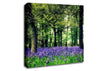 Bluebell Woodland Canvas Wall Art