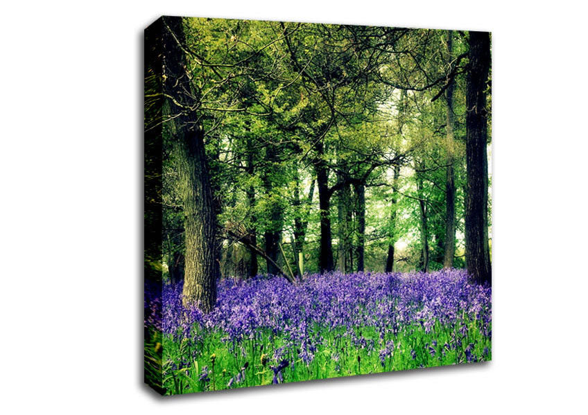 Bluebell Woodland Canvas Wall Art
