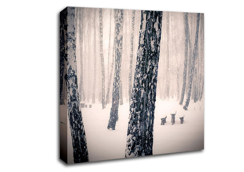 Forest Snowing Canvas Wall Art