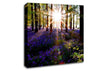 Forest Sun God Canvas Wall Art