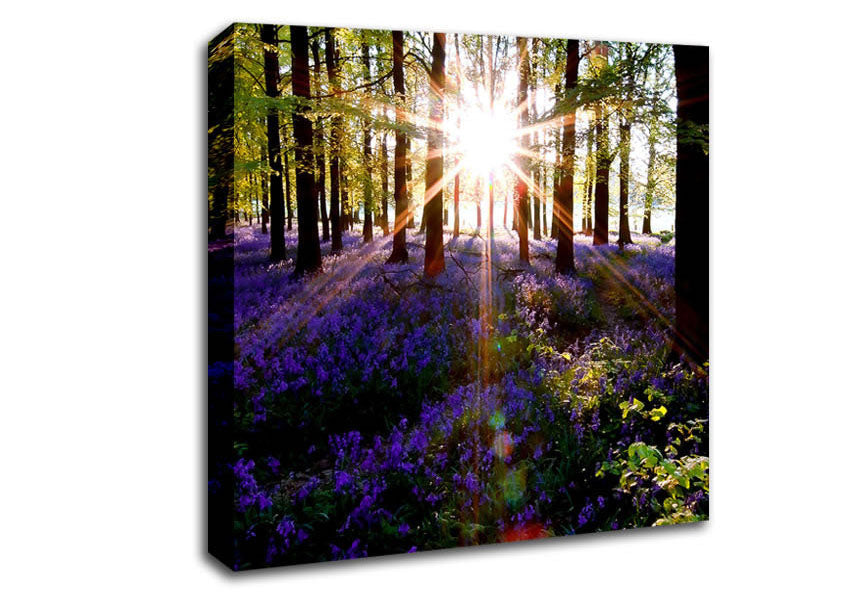 Forest Sun God Canvas Wall Art
