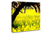 Orchard Sun Beam Canvas Wall Art