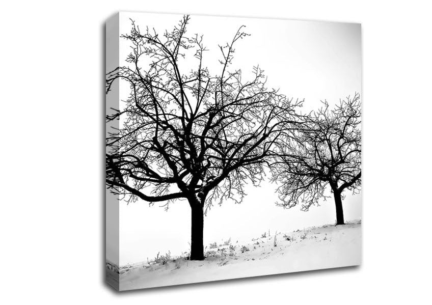 Trees In Winter Canvas Wall Art
