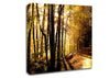 Beautiful Forest Road Autumn Canvas Wall Art