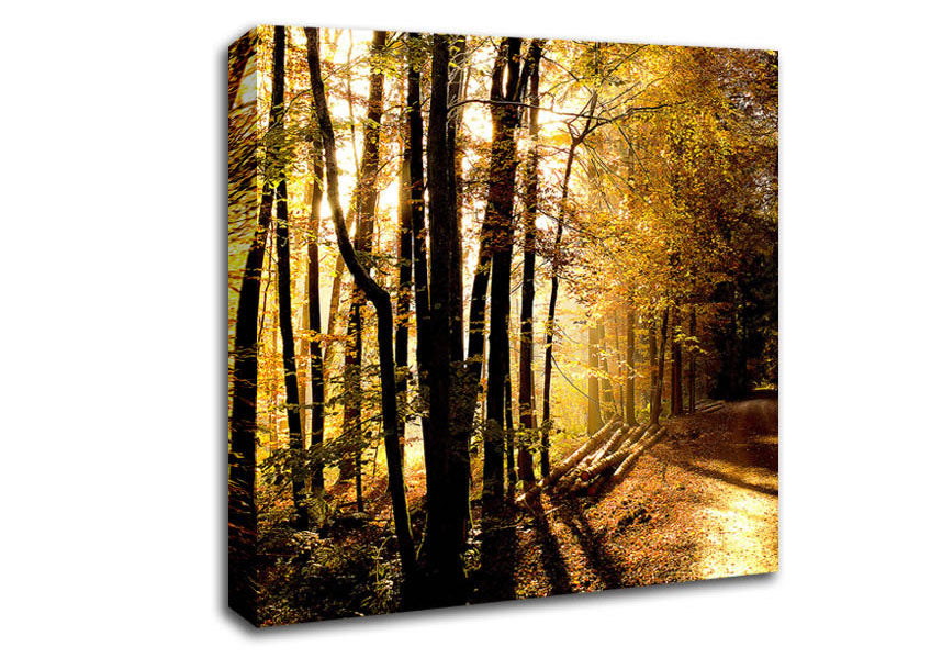 Beautiful Forest Road Autumn Canvas Wall Art