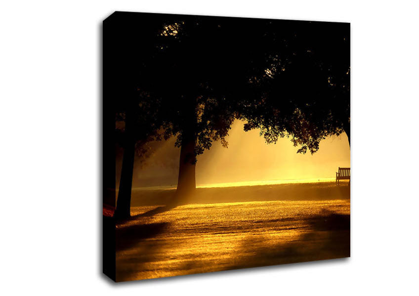 Beautiful Sunset Light Canvas Wall Art