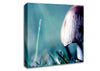 Wild Mushroom Canvas Wall Art
