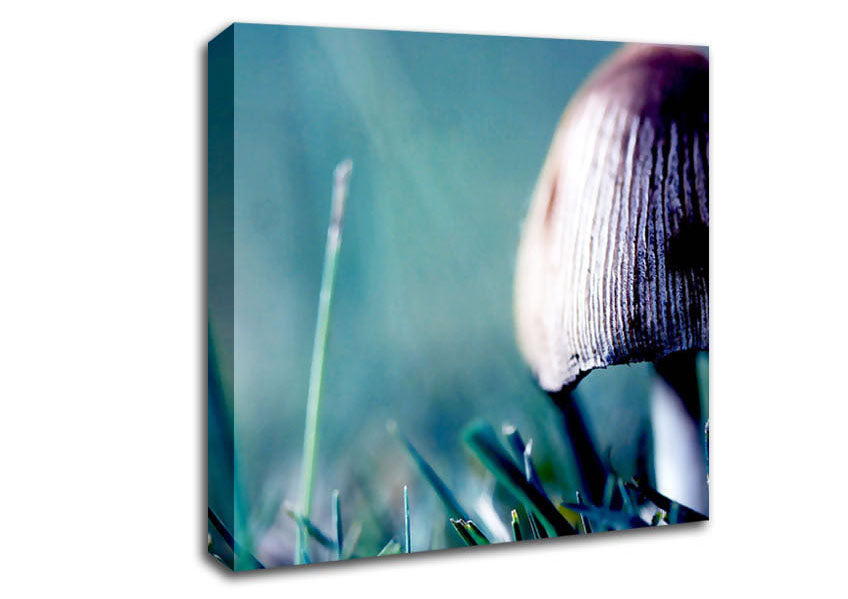Wild Mushroom Canvas Wall Art