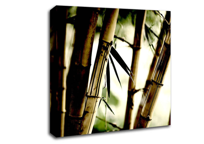 Bamboo Stalks Canvas Wall Art