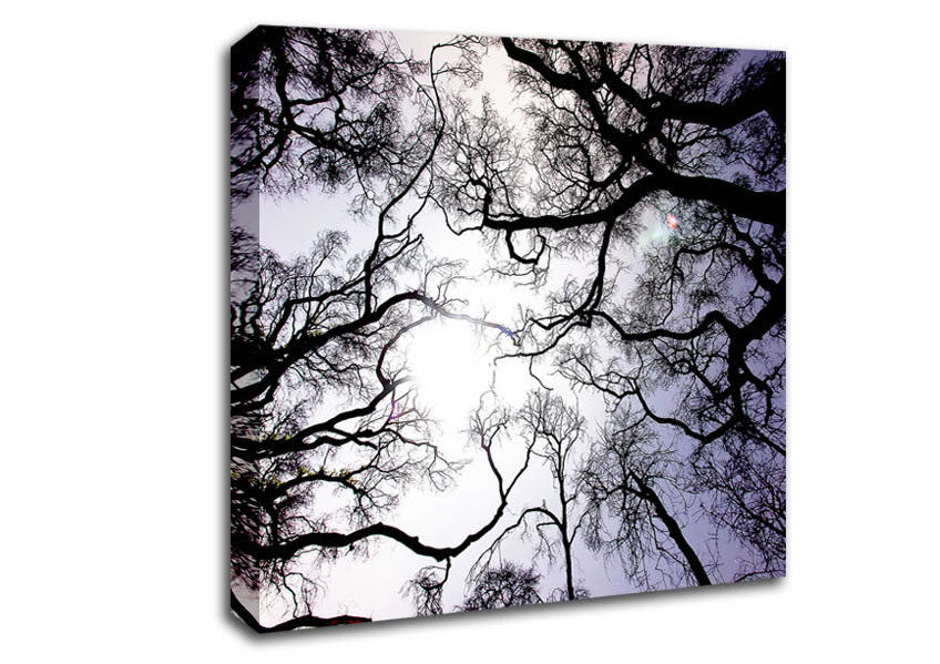 Reaching Arms Canvas Wall Art