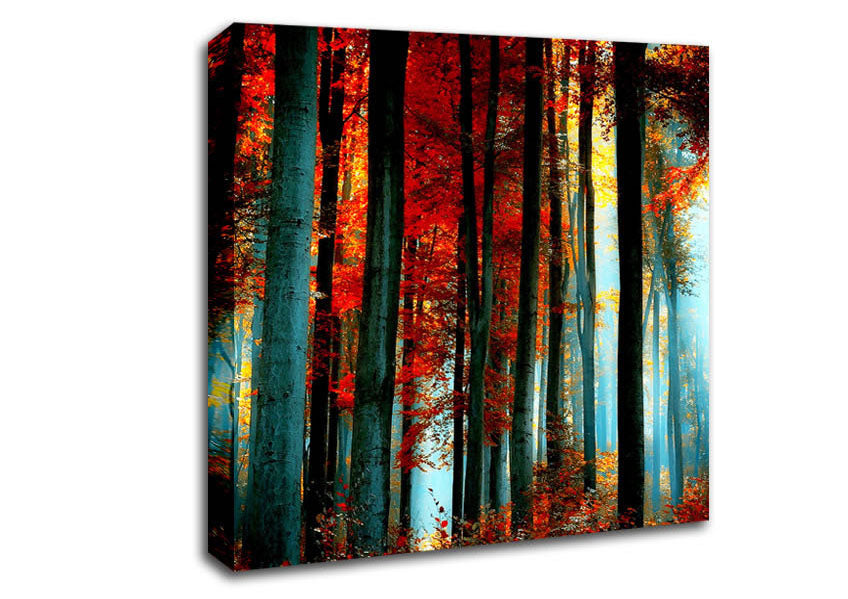 Blue Light Through The Orange Woodland Canvas Wall Art
