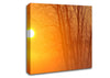 Yellow Sky Canvas Wall Art