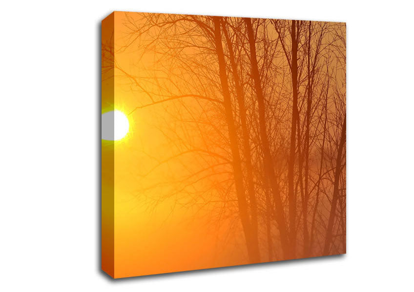 Yellow Sky Canvas Wall Art