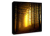 Golden Forest Light Canvas Wall Art