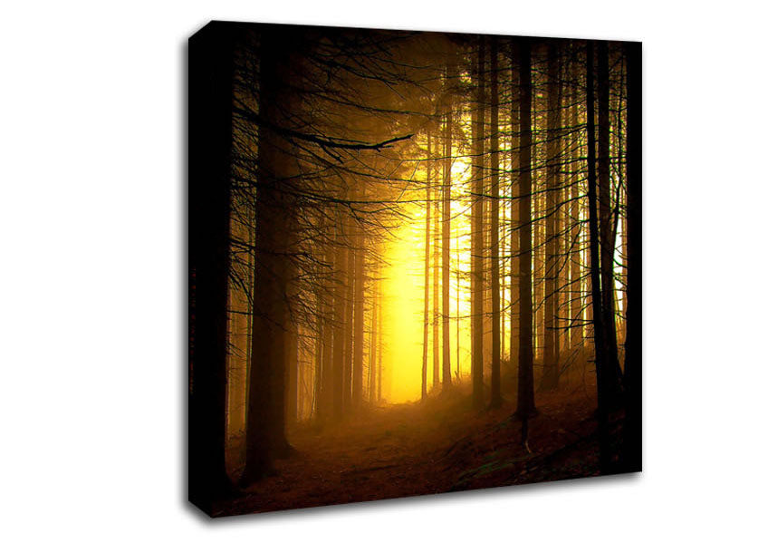Golden Forest Light Canvas Wall Art