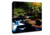 Autumn Forest River Canvas Wall Art