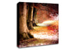 Beech Autumn Trees Canvas Wall Art