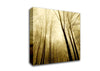 In The Depth Of The Forest Canvas Wall Art