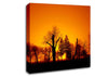 The Forest Aglow Canvas Wall Art