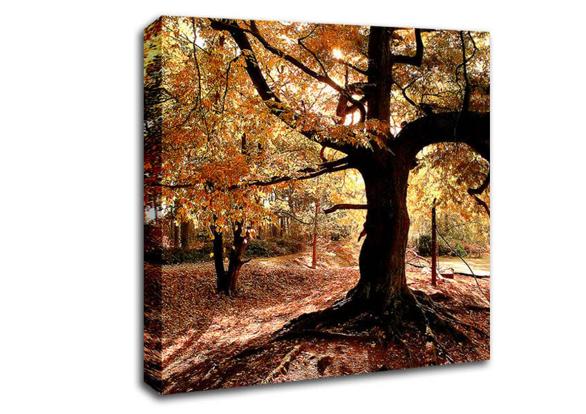 In The Depths Of The Old Forest Canvas Wall Art