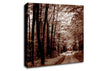 The Brown Forest Road Canvas Wall Art