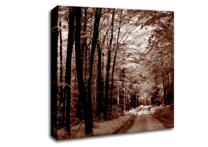 The Brown Forest Road Canvas Wall Art